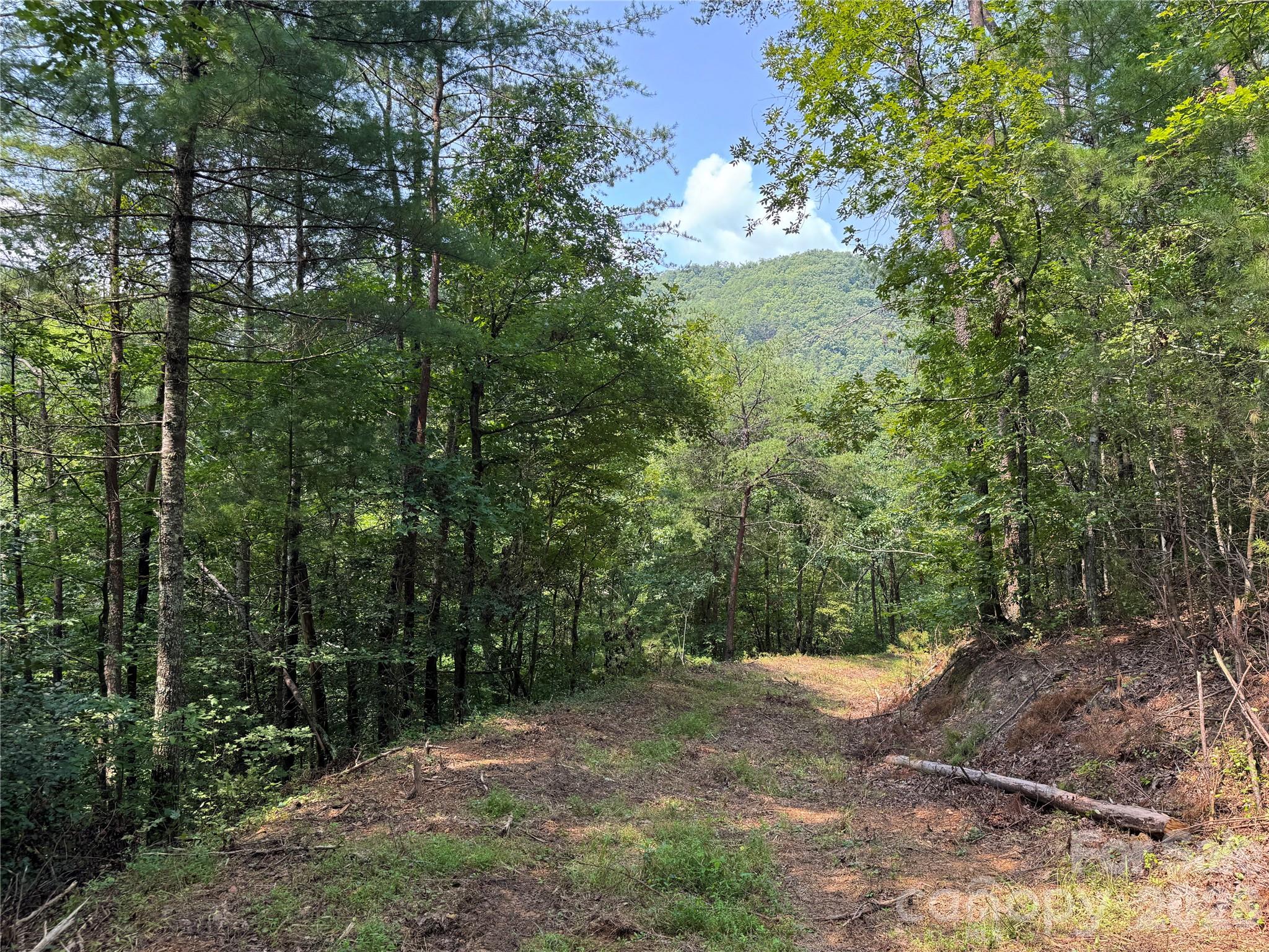 6080 River Road Hot Springs, NC 28743 - Photo 14 of 24 Gallery Image 14