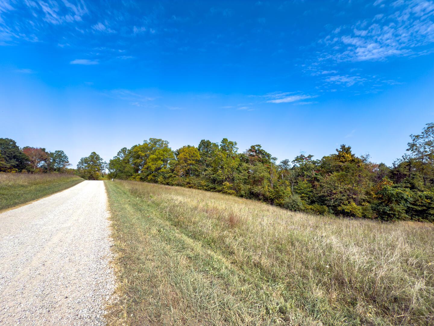 Perry Ridge Rd; 2.5 ac-3361