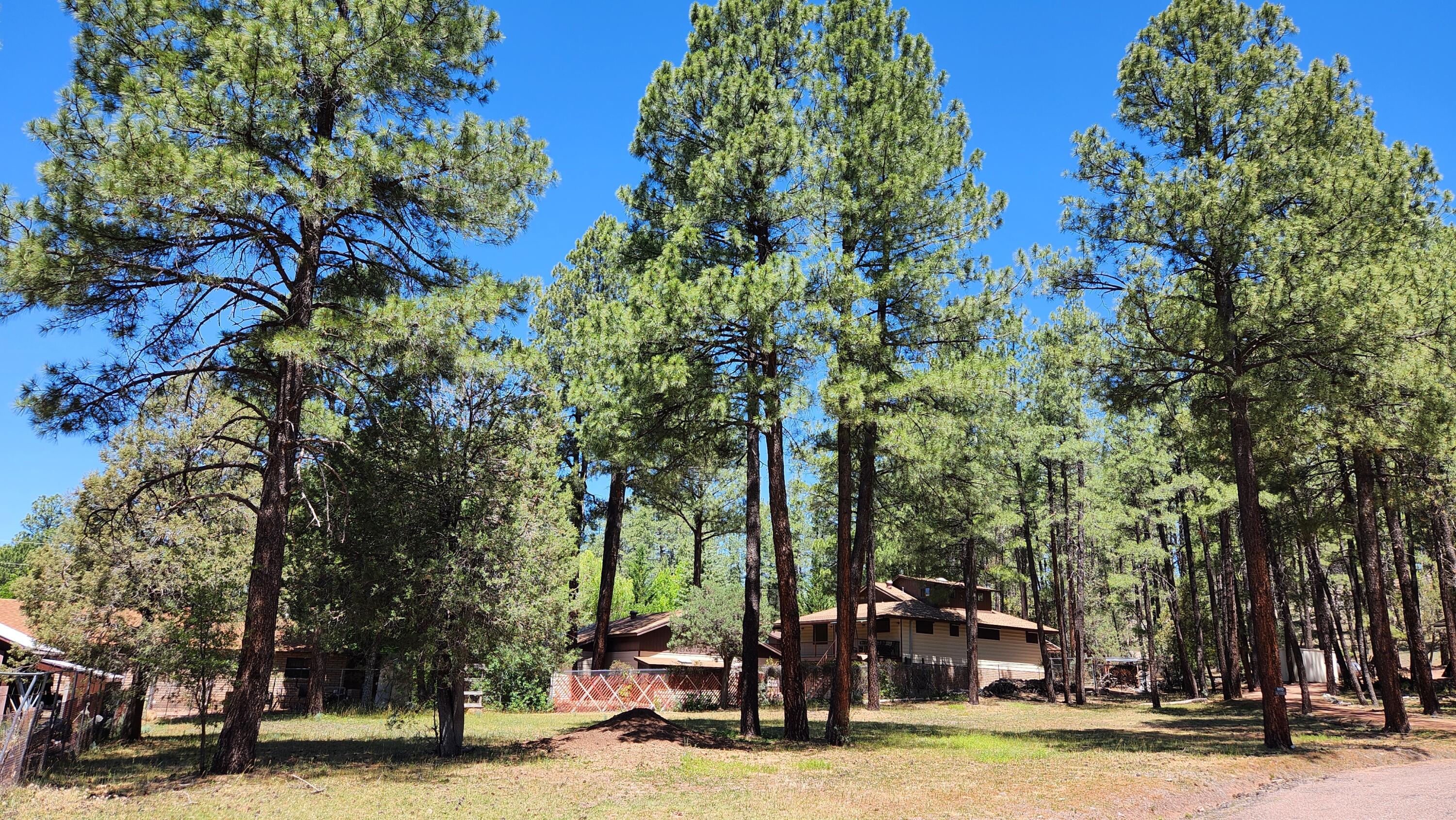 181 Cedar Circle Payson, AZ 85541 - Photo 6 of 8 Lot181-TV3