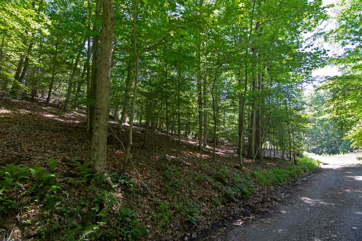 751-771 Lipps Road Lewisburg, WV 24901 - Photo 10 of 43 Gallery Image 10