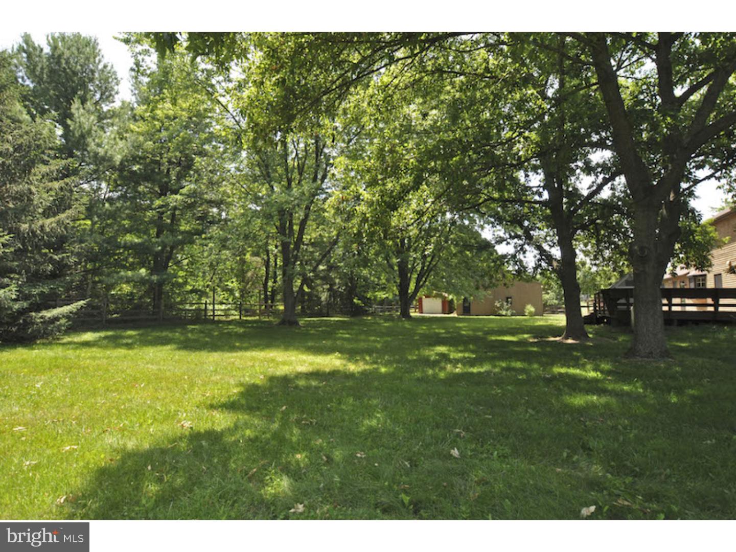 6064 Carversville Road Doylestown, PA 18902 - Photo 23 of 25 Side Yard