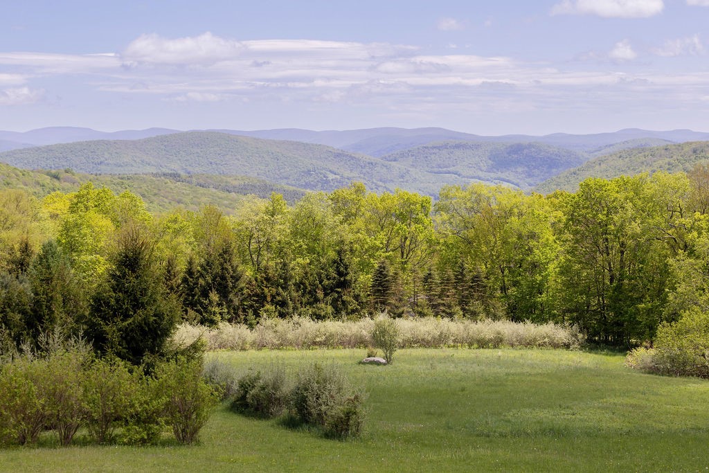 0 Undisclosed Address Delancey, NY 13752 - Photo 12 of 47