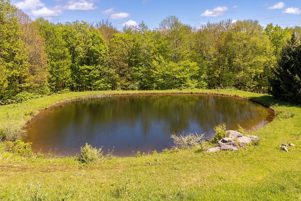 0 Undisclosed Address Delancey, NY 13752 - Photo 14 of 47