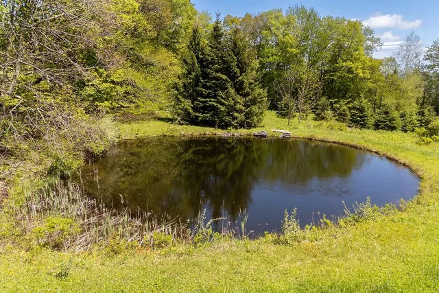 $669,000 | 8254 County Highway, Delancey, NY 13752