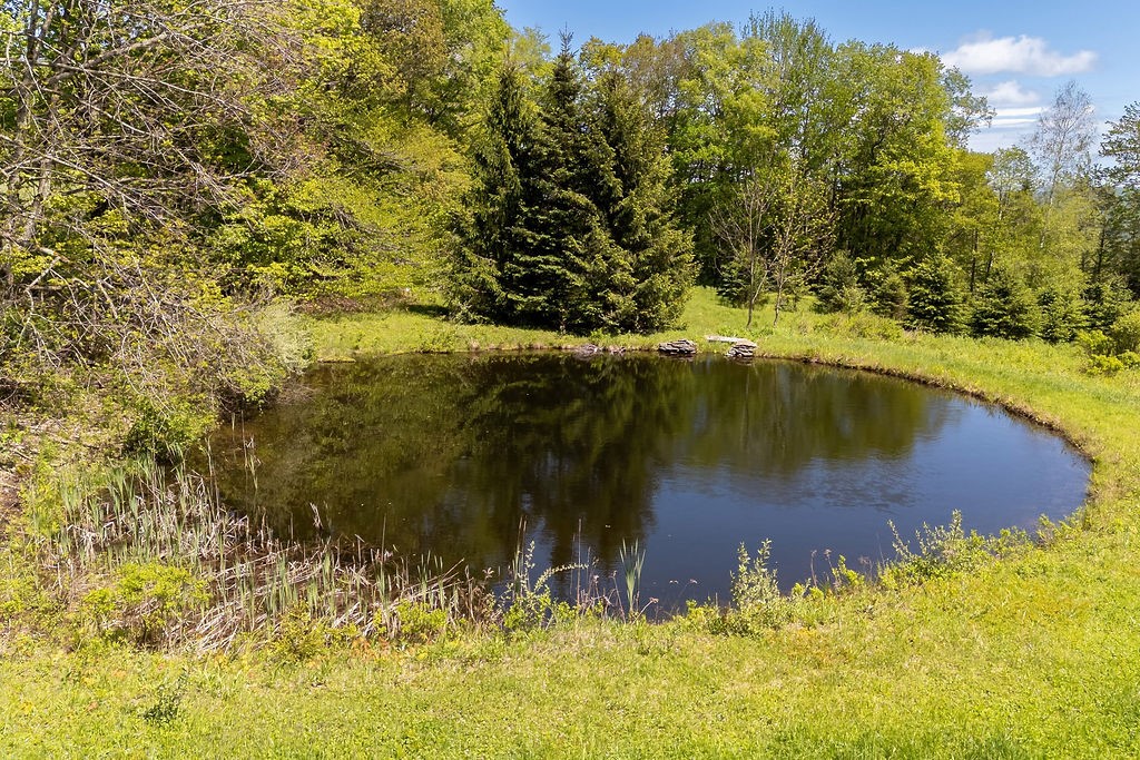 0 Undisclosed Address Delancey, NY 13752 - Photo 15 of 47