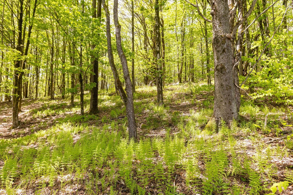 0 Undisclosed Address Delancey, NY 13752 - Photo 20 of 47