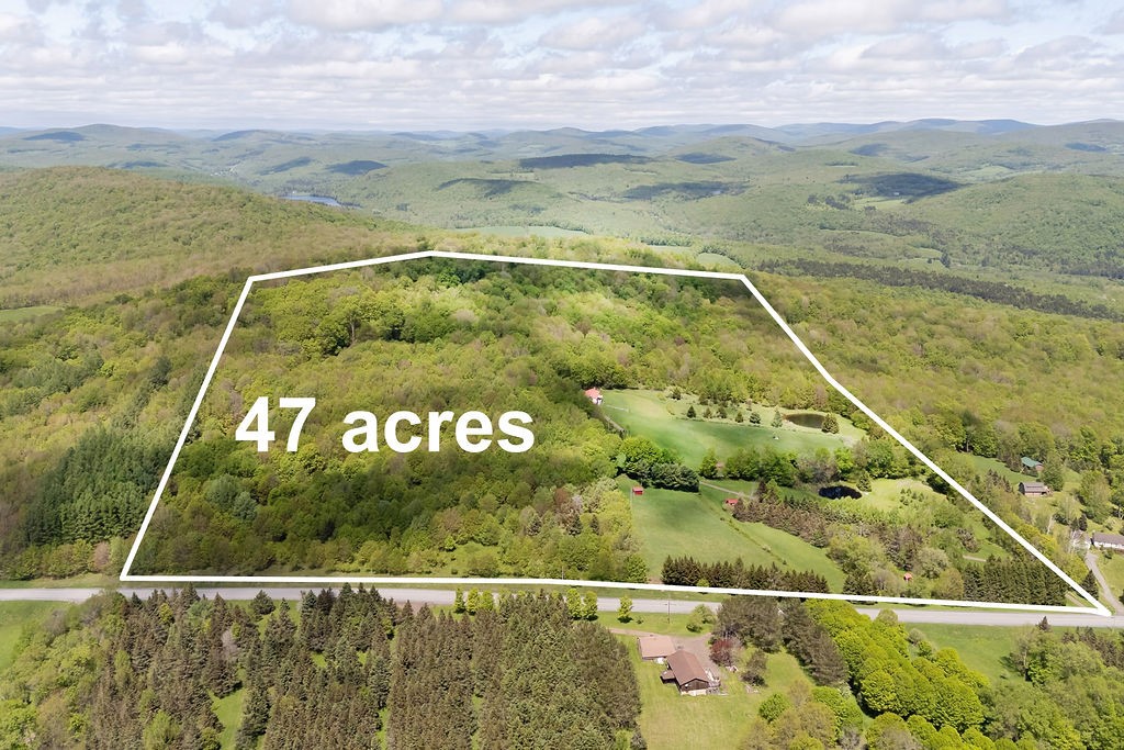 0 Undisclosed Address Delancey, NY 13752 - Photo 6 of 47