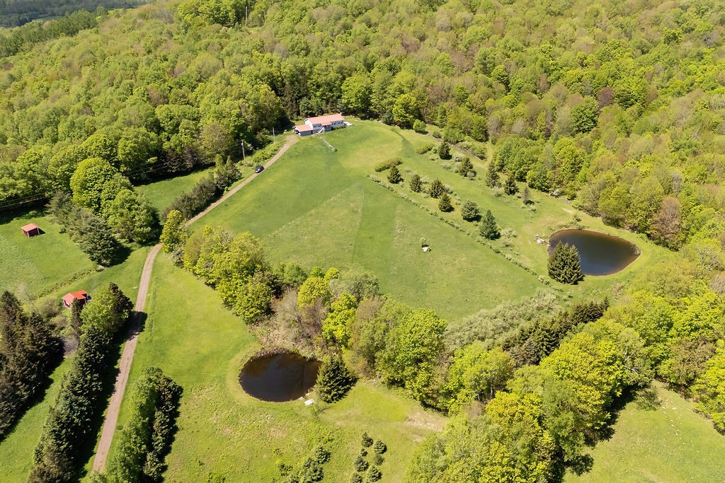 0 Undisclosed Address Delancey, NY 13752 - Photo 7 of 47