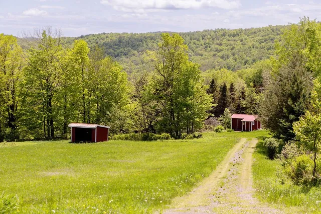 $669,000 | 8254 County Highway, Delancey, NY 13752