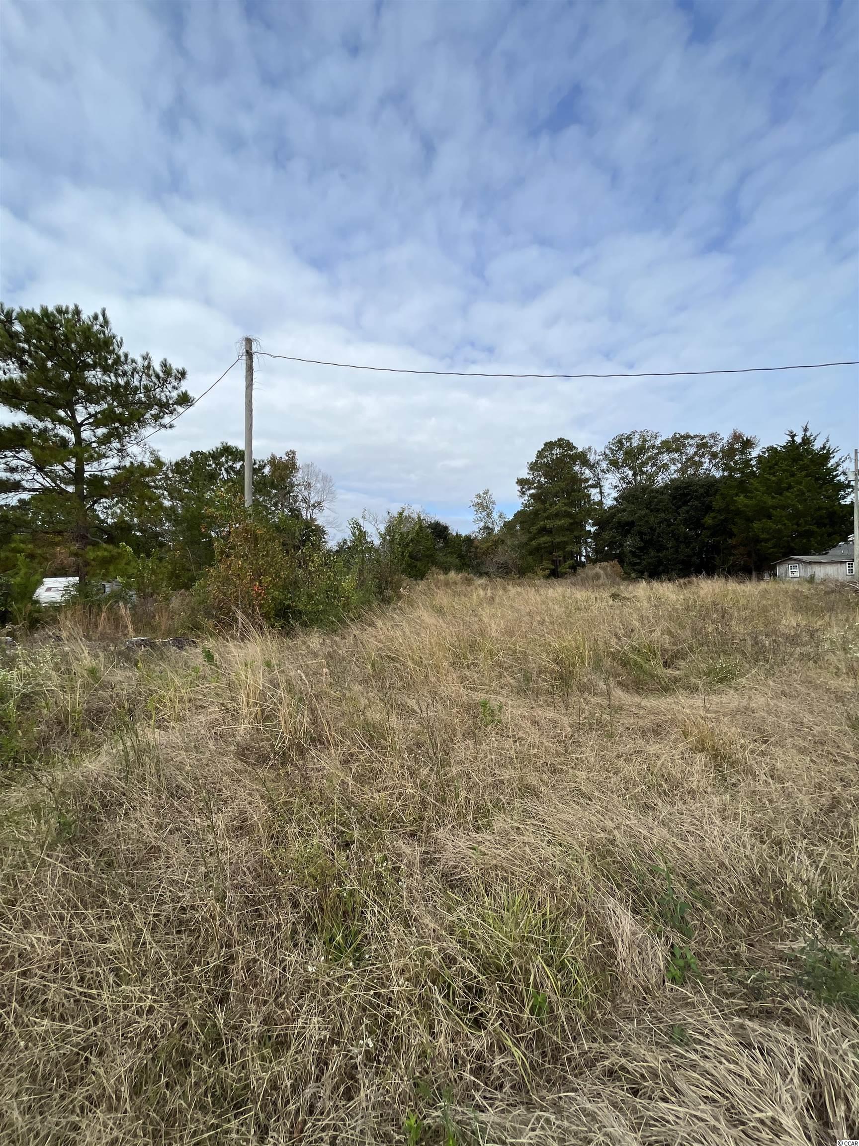 5015 State Rd S-26-1019 Conway, SC 29527 - Photo 5 of 6 Gallery Image 5