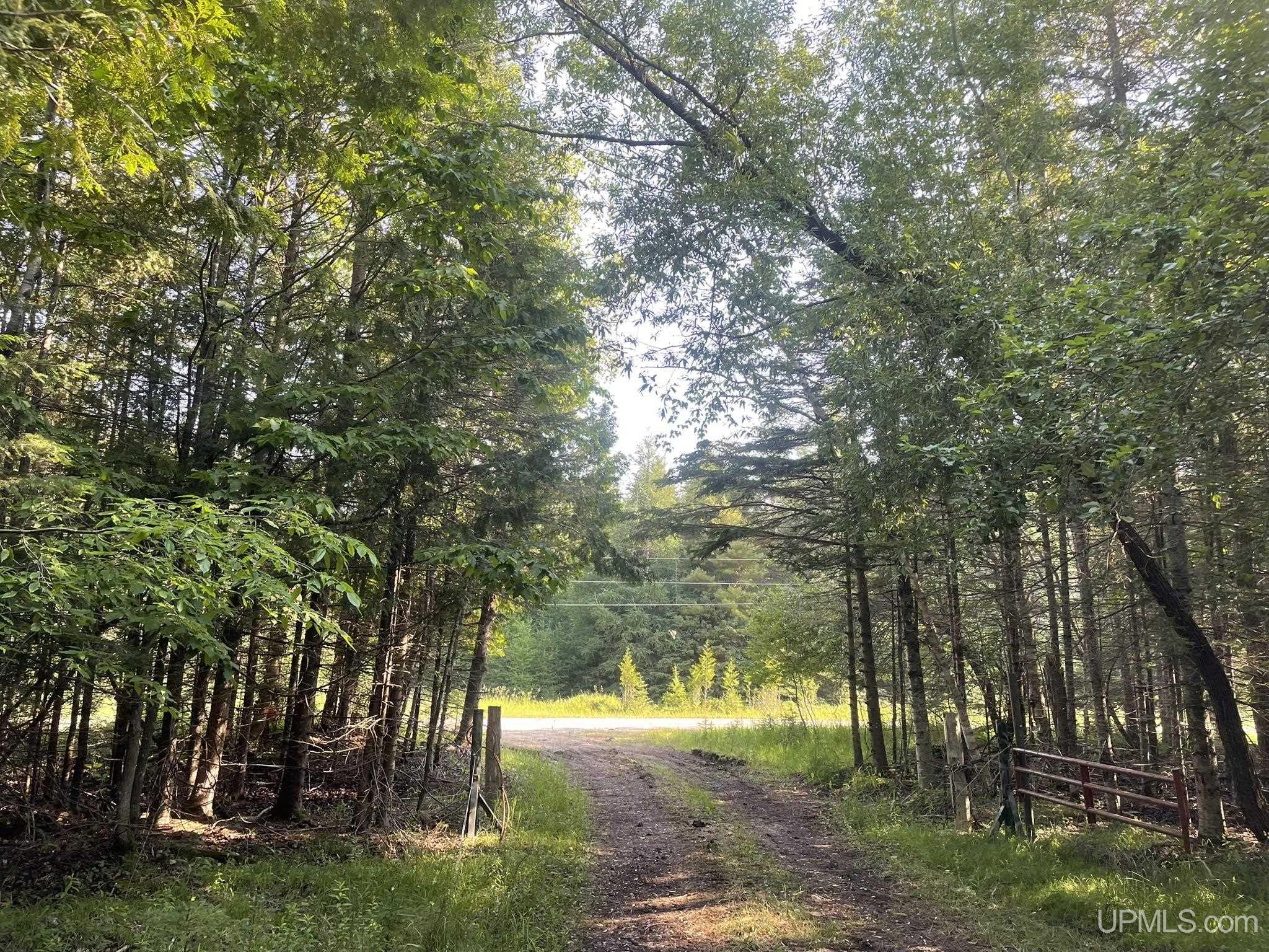 Tbd 17th Road Garden, MI 49835 - Photo 1 of 10
