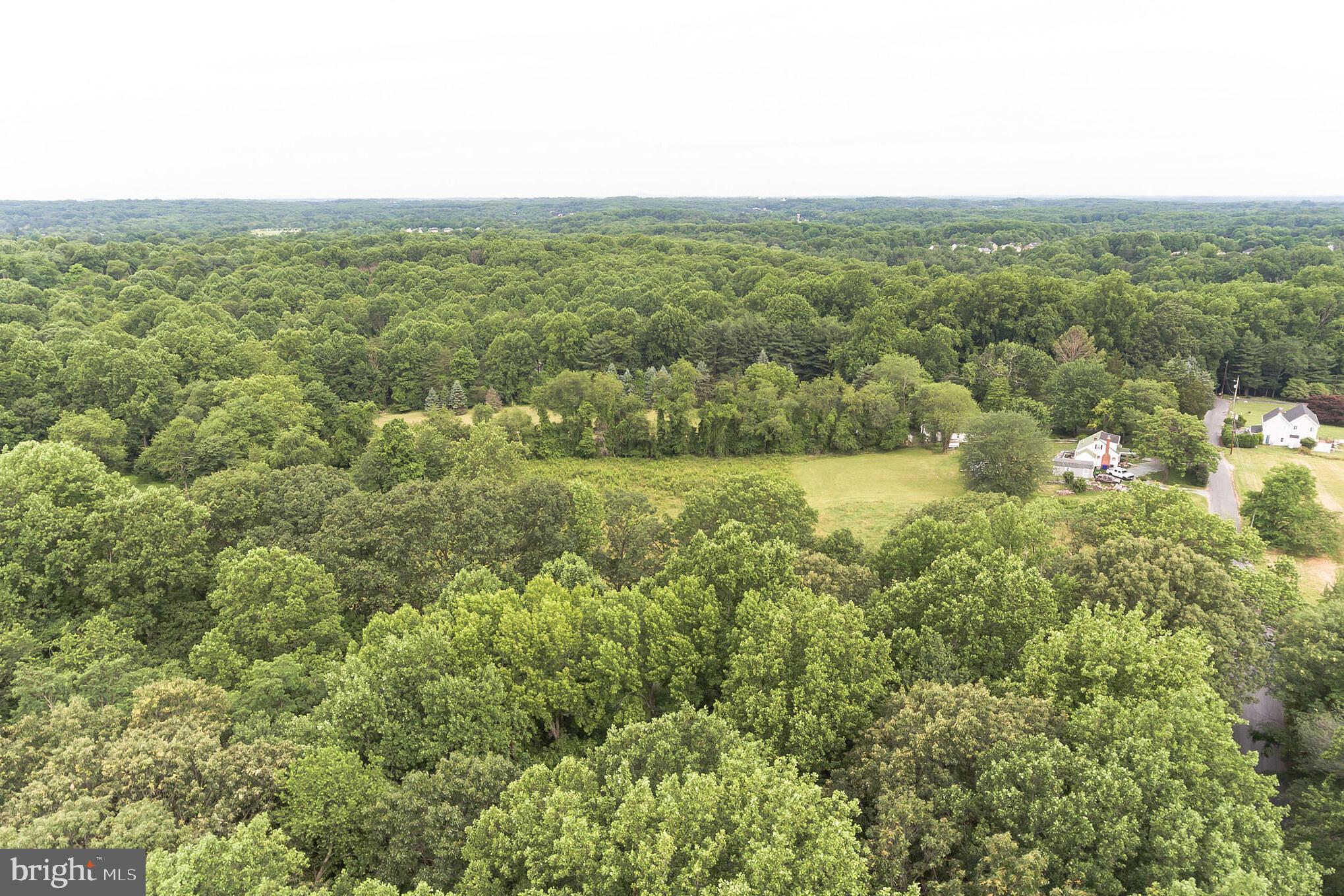 401 Bryants Nursery Road Silver Spring, MD 20905 - Photo 7 of 21