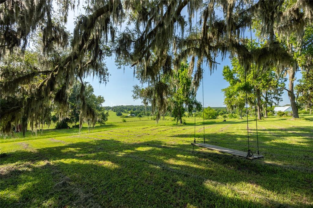 21601 Old Bellamy Road Alachua, FL 32615 - Photo 48 of 67