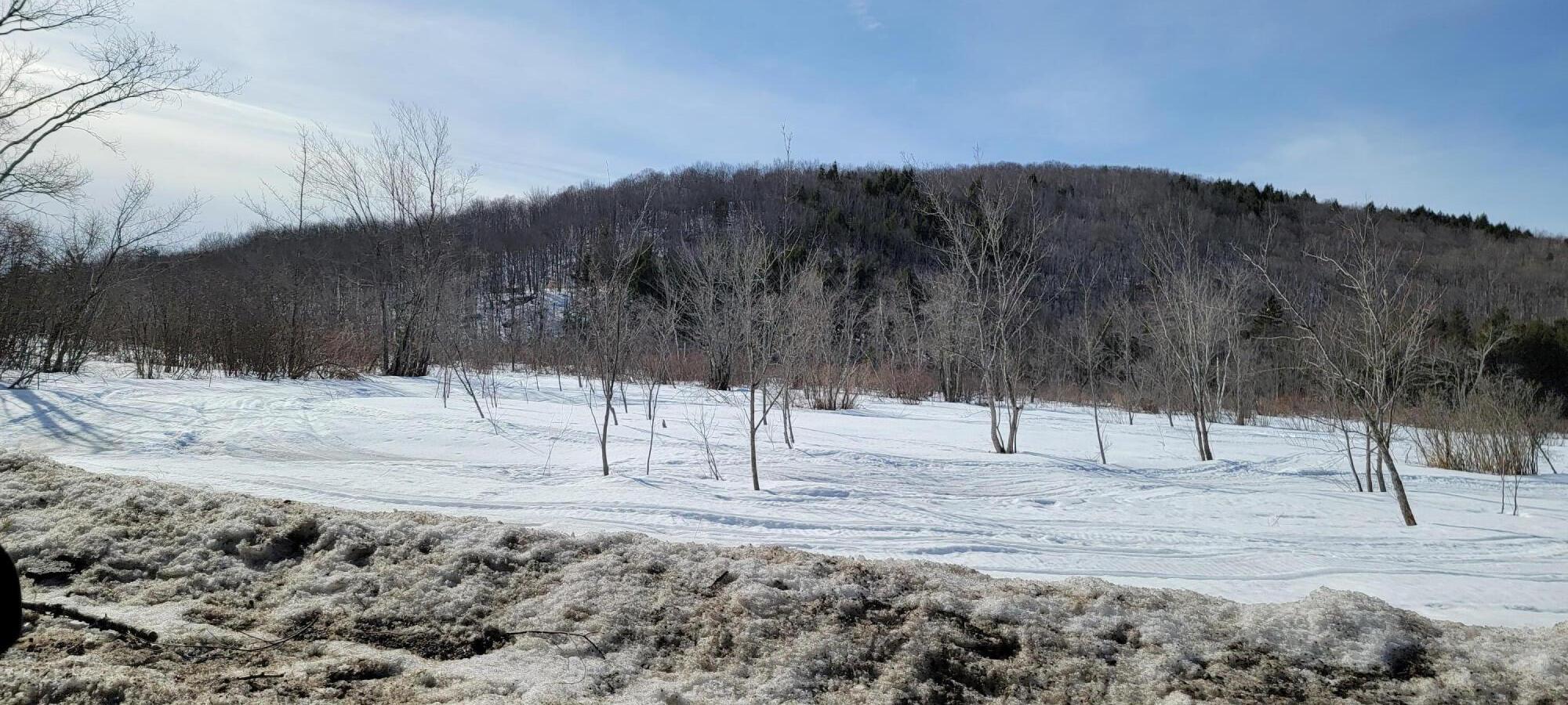 Tbd Songo Pond Road Bethel, ME 04217 - Photo 6 of 6 20230216_120131