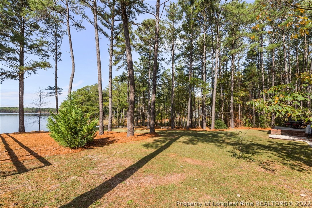 30480 East Lake Road Wagram, NC 28396 - Photo 38 of 49 a view of a backyard of the house