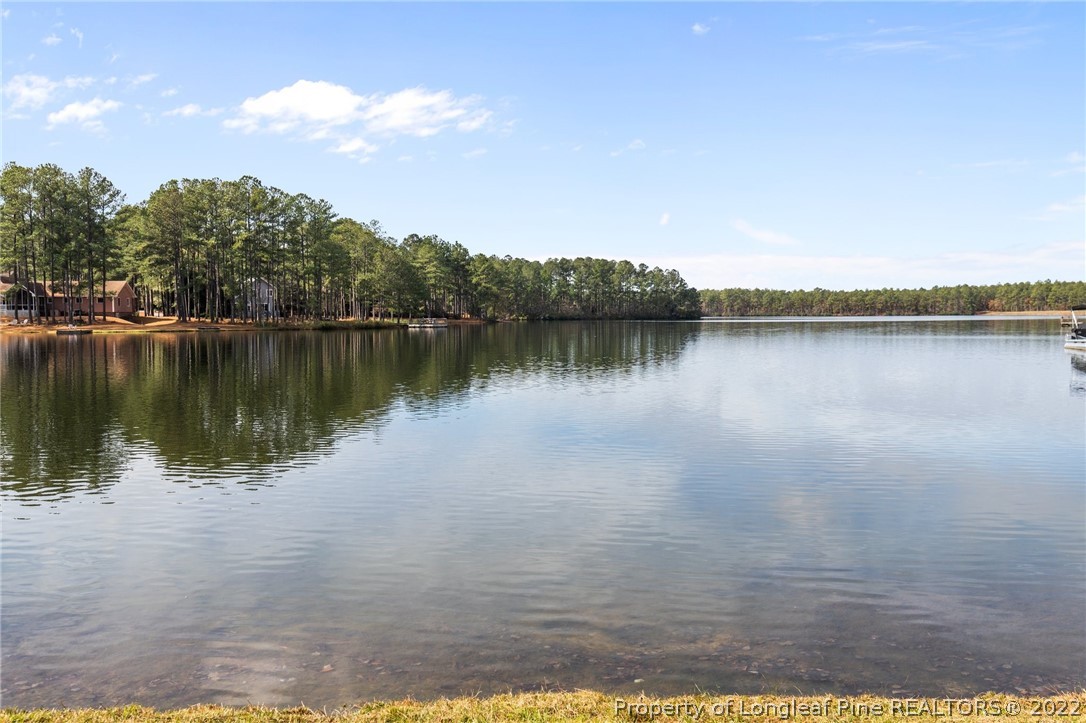30480 East Lake Road Wagram, NC 28396 - Photo 8 of 49 a view of a lake