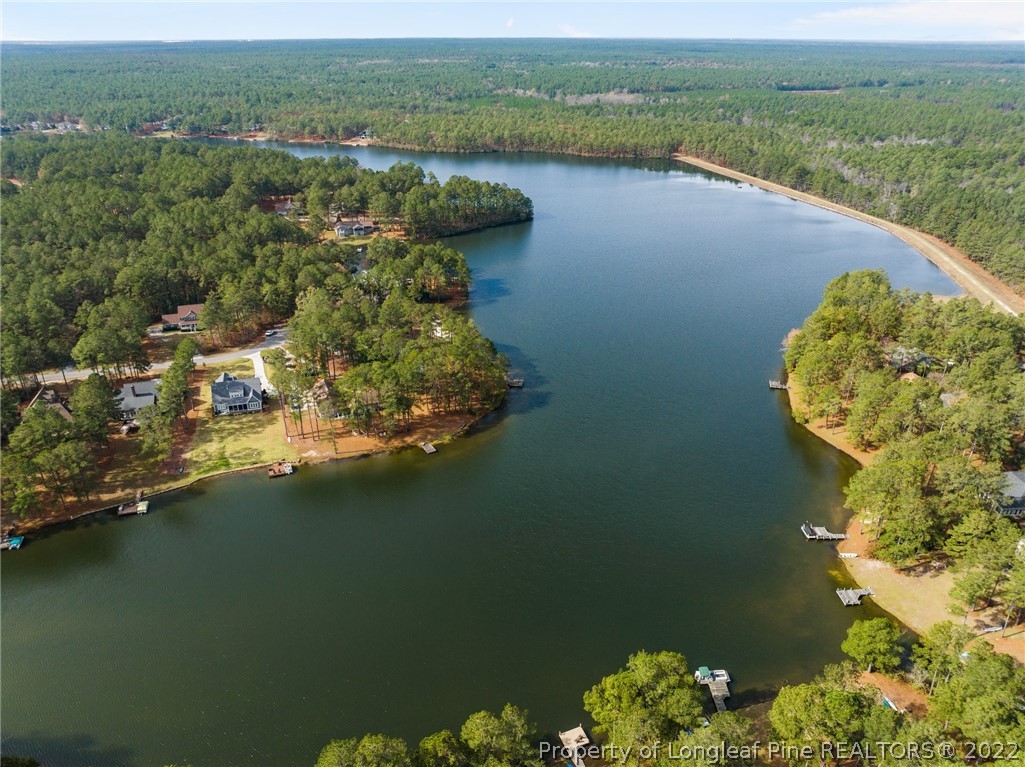 30480 East Lake Road Wagram, NC 28396 - Photo 9 of 49 a view of a lake with a mountain view