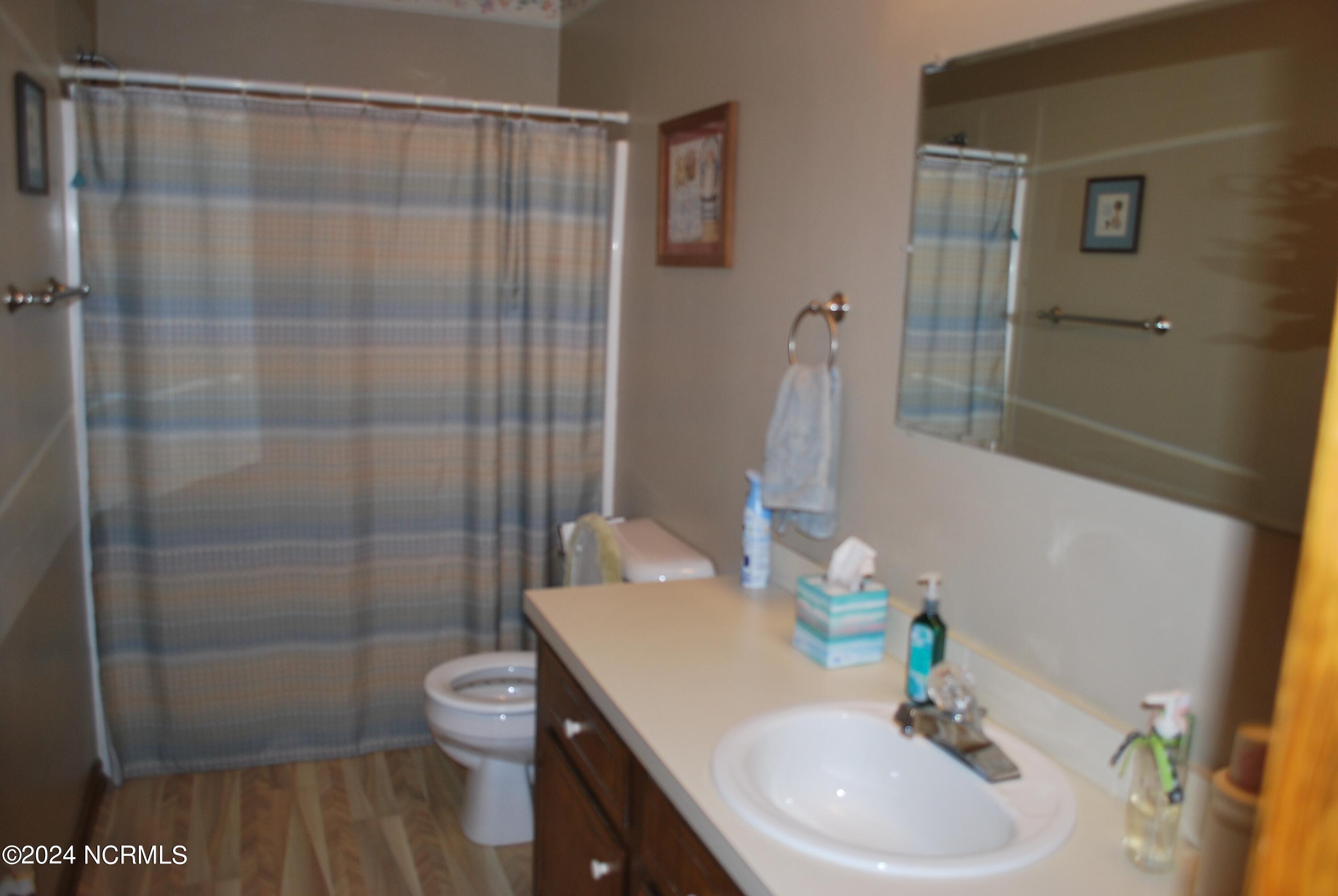 850 Nobles Mill Road Deep Run, NC 28525 - Photo 11 of 16 Bath 1