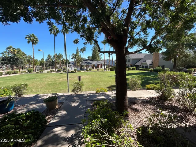 a view of a park with large trees