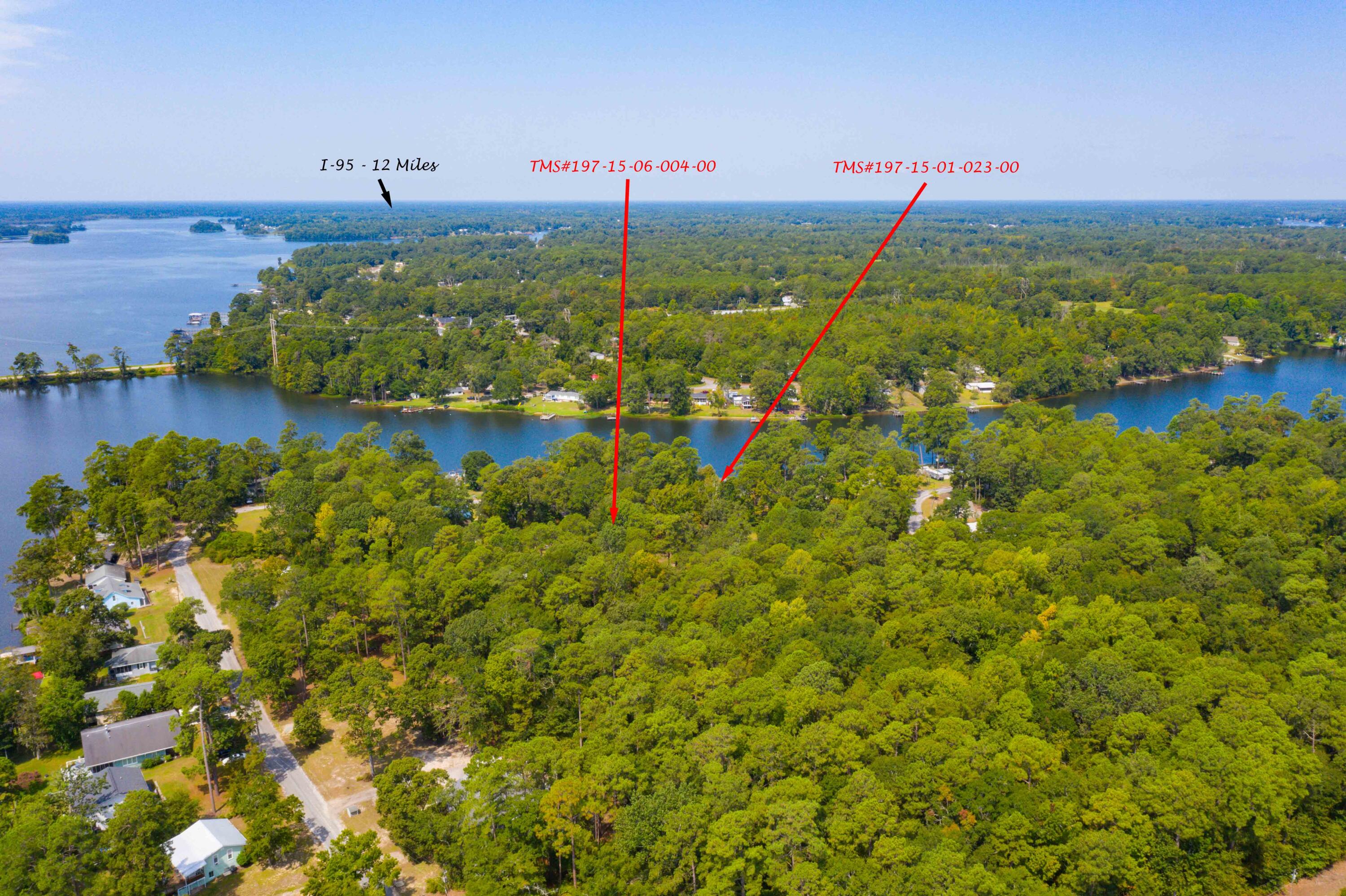 0 Delano Street Manning, SC 29102 - Photo 3 of 26 DJI_0852