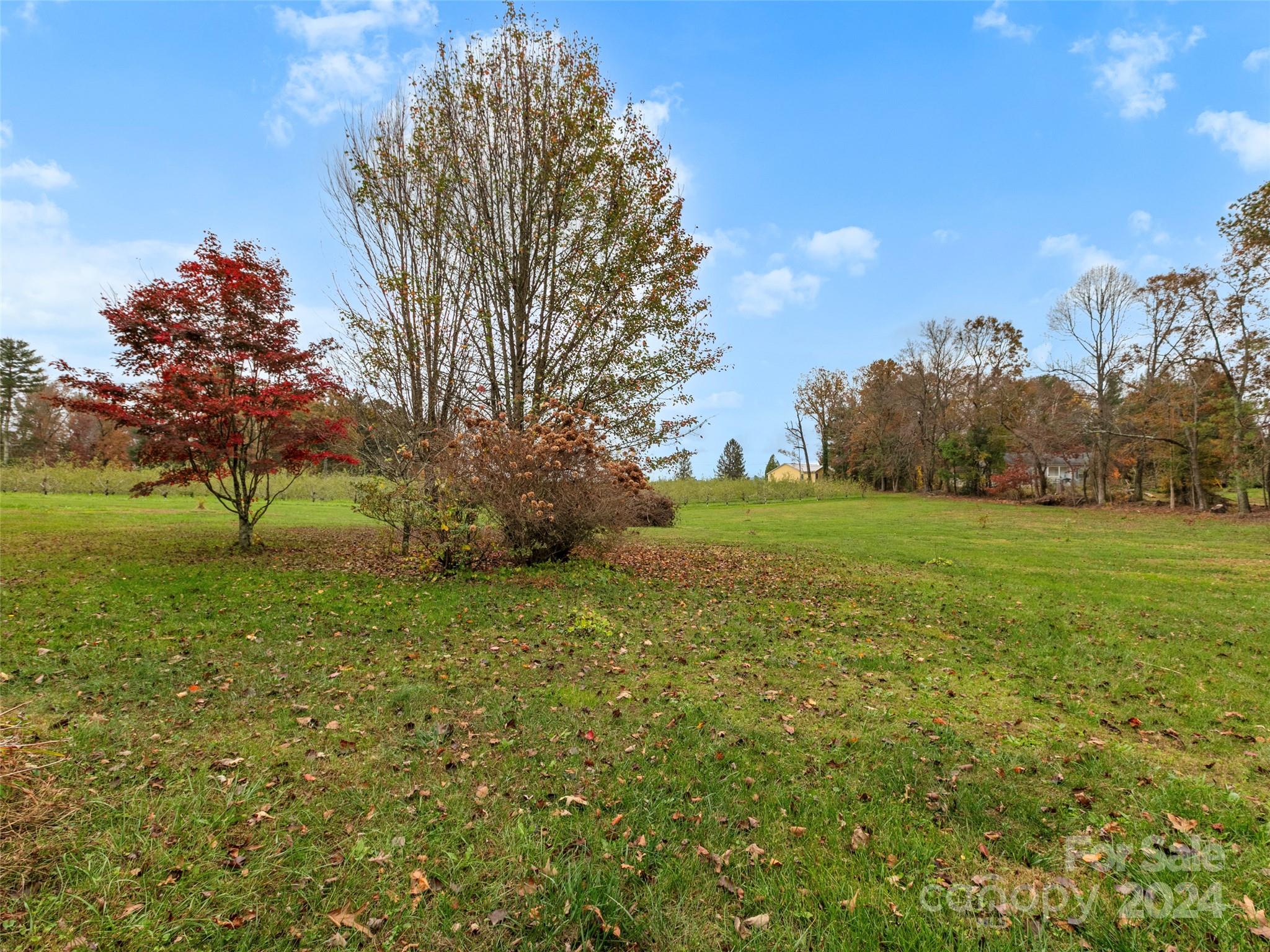 5540 Howard Gap Road Flat Rock, NC 28731 - Photo 6 of 24 Gallery Image 6