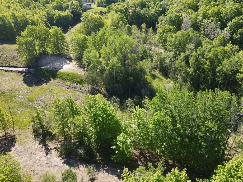 Tbd Pesek Road East Jordan, MI 49727 - Photo 22 of 28