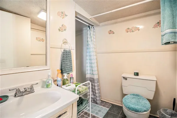 a bathroom with a sink a toilet and a mirror