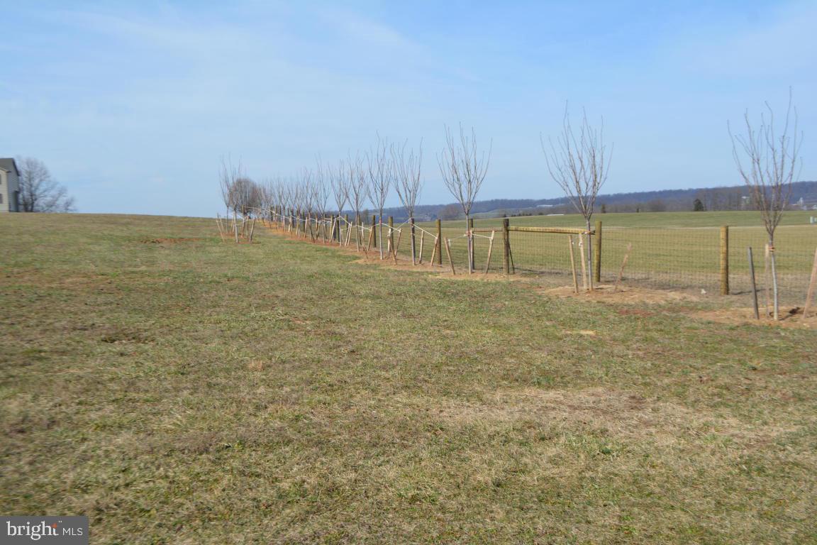 1904 Cider Press Road Manheim, PA 17545 - Photo 1 of 6