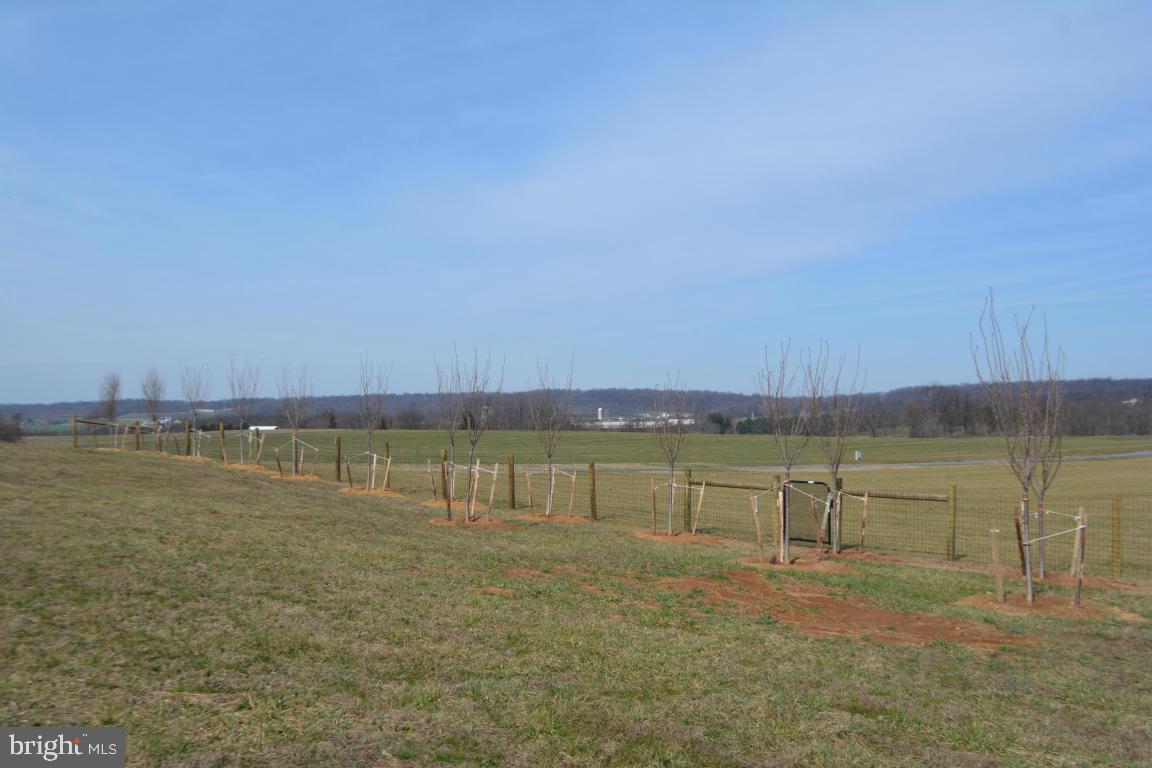 1904 Cider Press Road Manheim, PA 17545 - Photo 4 of 6