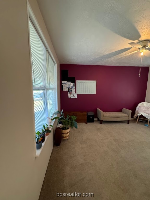 1101 East 30th Street Bryan, TX 77802 - Photo 36 of 42 a room with furniture and a potted plant