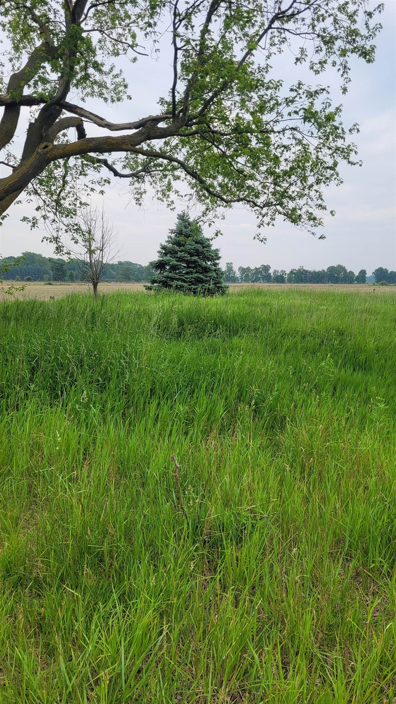 2305 West Juddville Road Owosso, MI 48867 - Photo 1 of 7