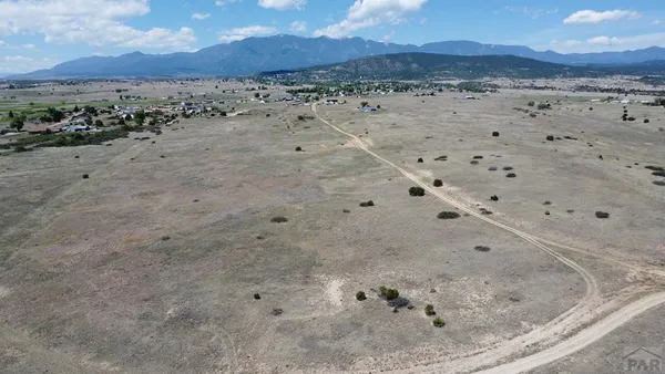 a view of a dry yard