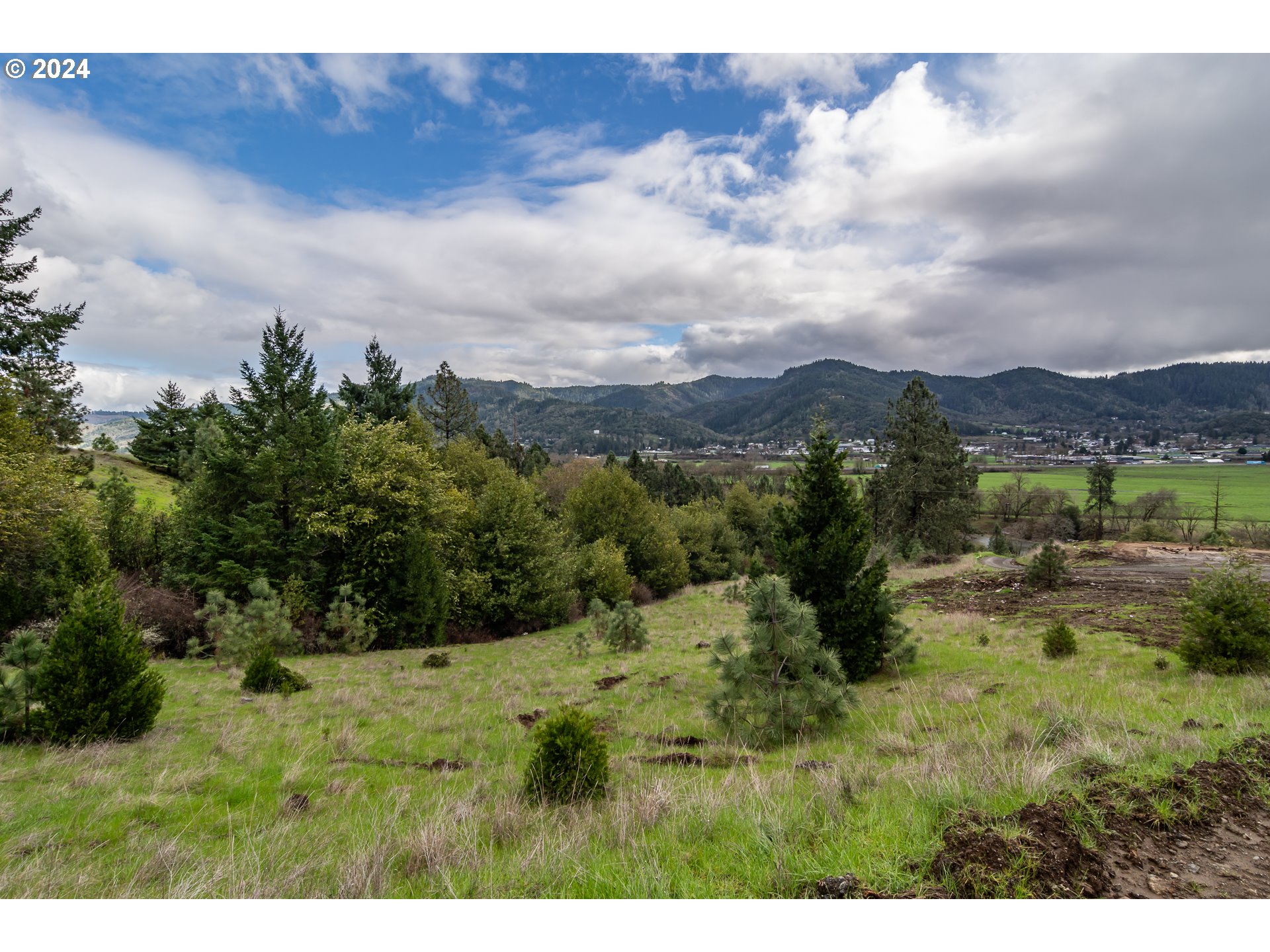 1955 Weaver Road Myrtle Creek, OR 97457 - Photo 4 of 31