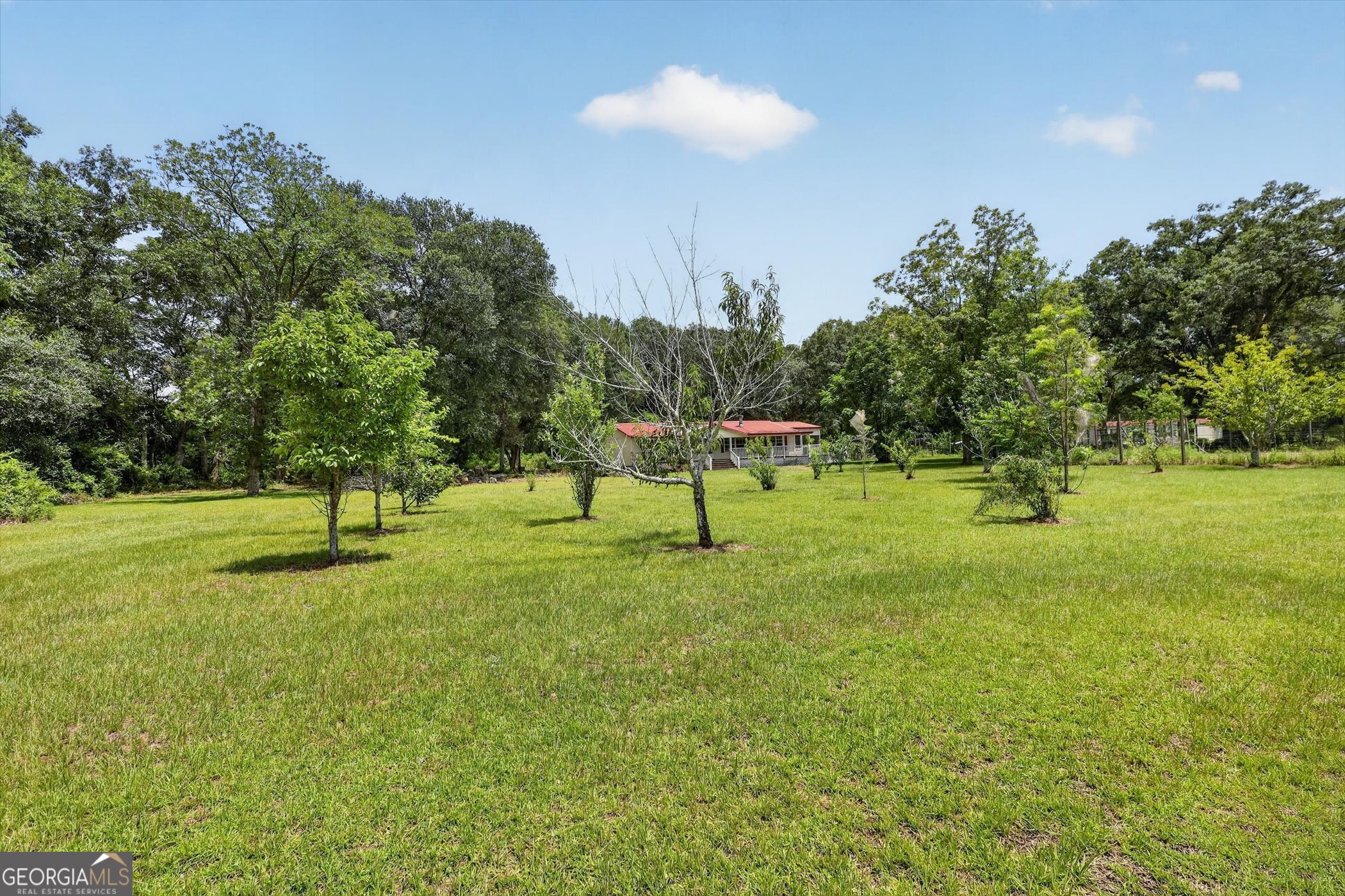 2224 Howard Alexander Road Collins, GA 30421 - Photo 4 of 44