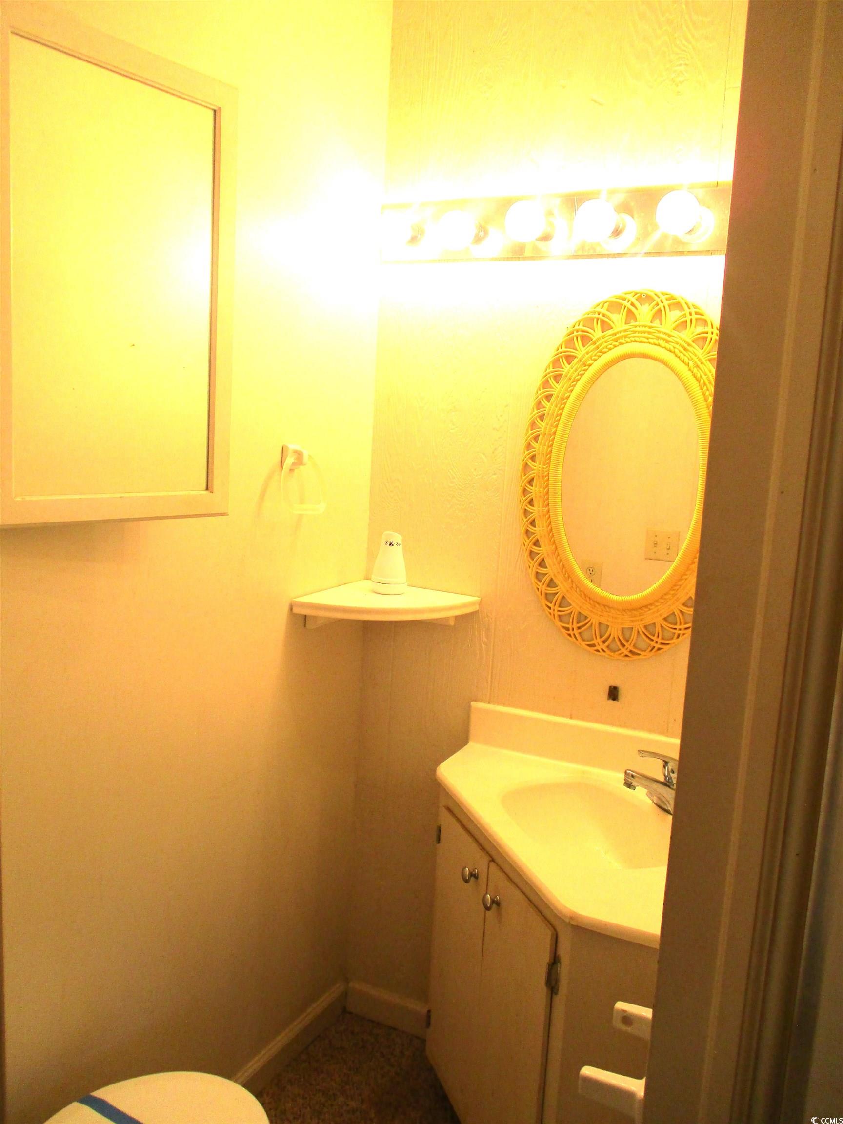730 Highway 348 Loris, SC 29569 - Photo 22 of 36 Bathroom with toilet and vanity