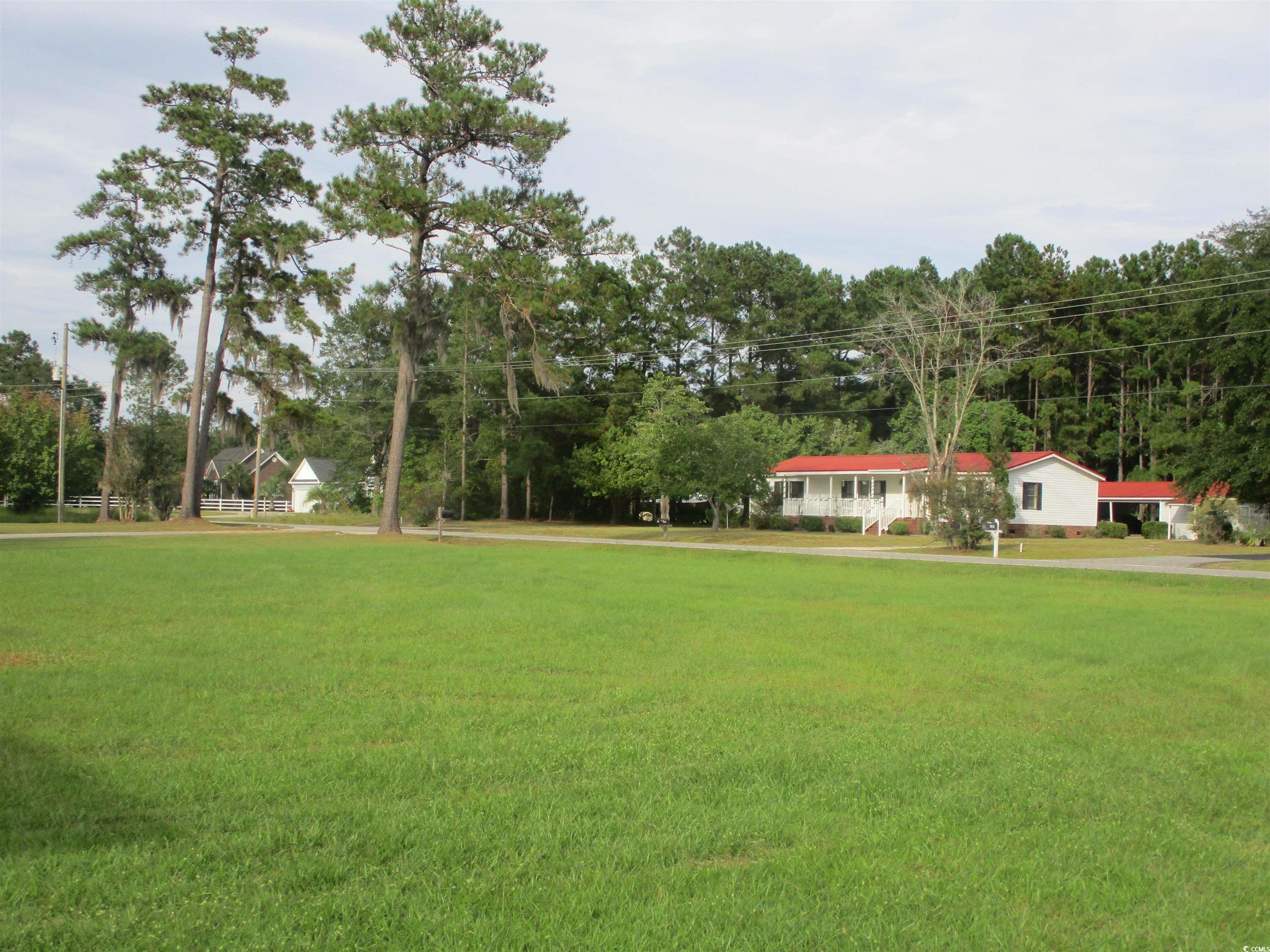 730 Highway 348 Loris, SC 29569 - Photo 3 of 36 View of yard