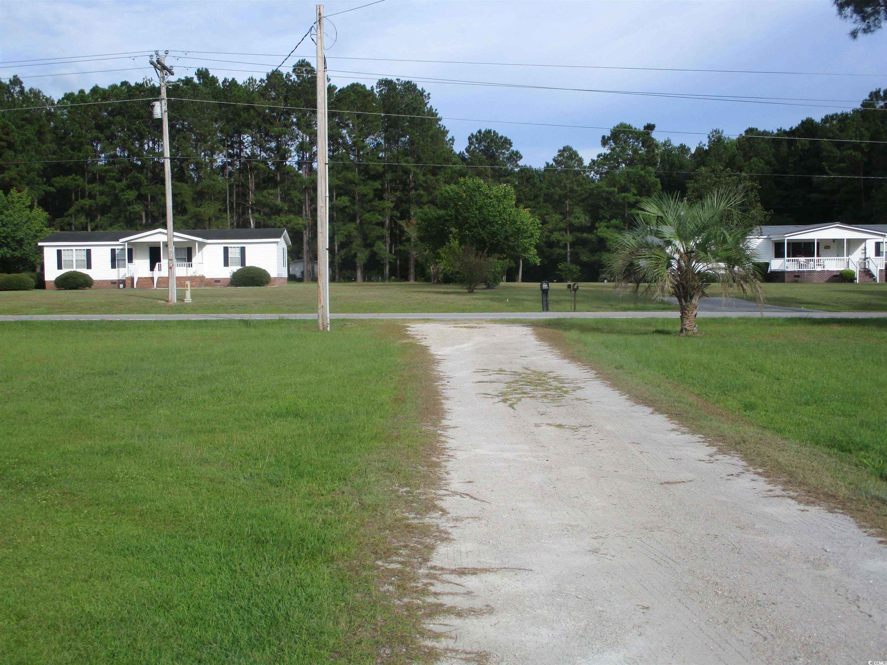 730 Highway 348 Loris, SC 29569 - Photo 4 of 36 View of road