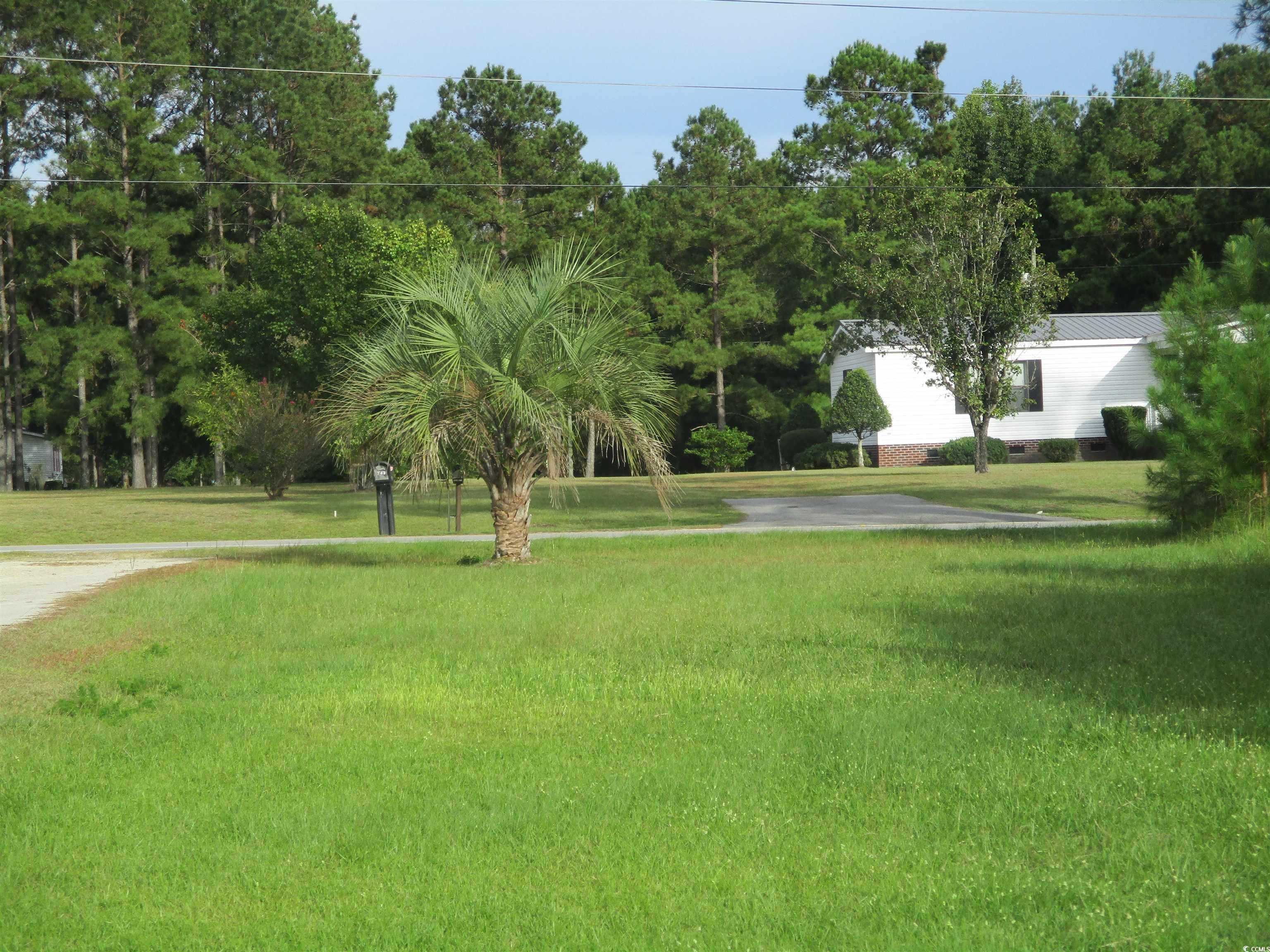 730 Highway 348 Loris, SC 29569 - Photo 5 of 36 Exterior space
