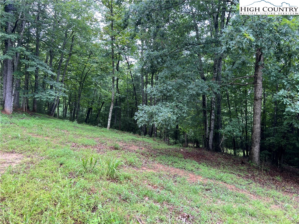 Staghorn Road Purlear, NC 28665 - Photo 11 of 50