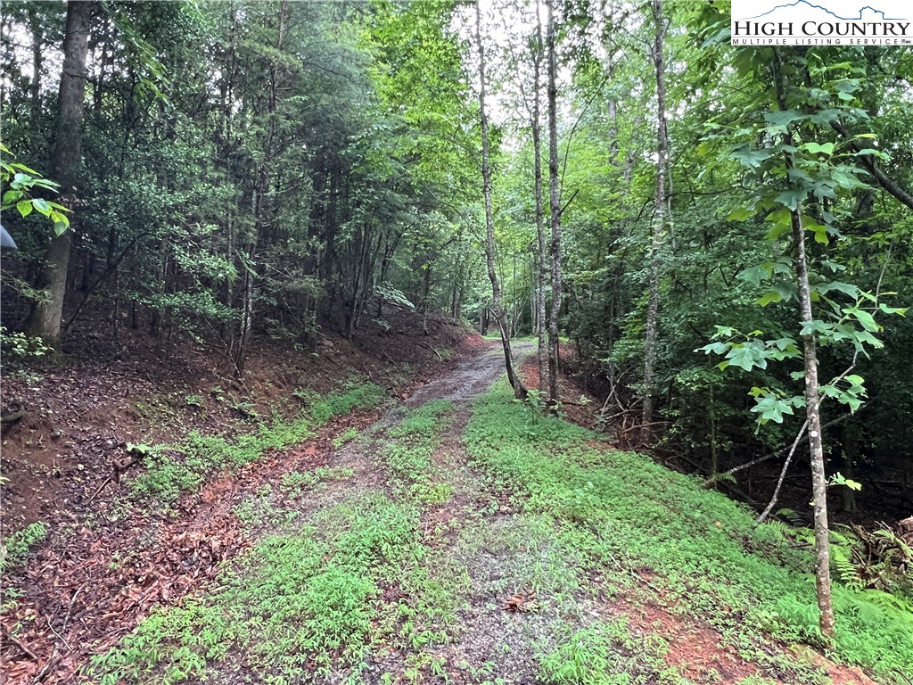Staghorn Road Purlear, NC 28665 - Photo 12 of 50 a backyard of a house with lots of green space
