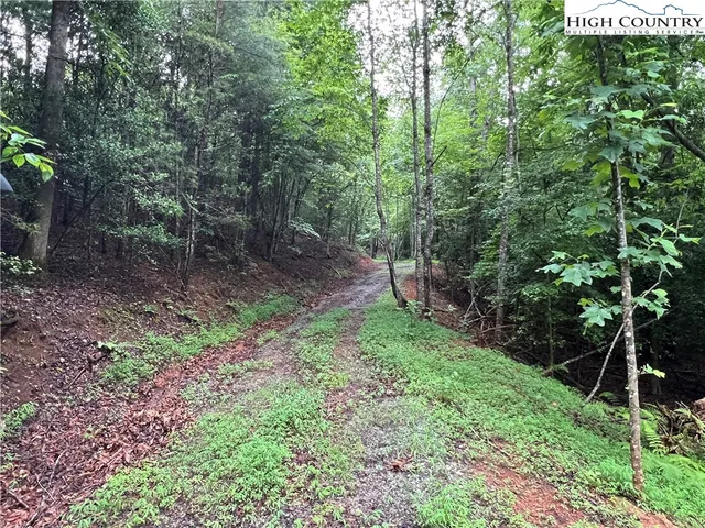 $149,900 | Staghorn Road, Purlear, NC 28665