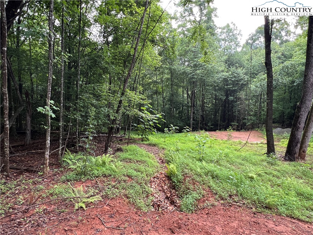 Staghorn Road Purlear, NC 28665 - Photo 14 of 50