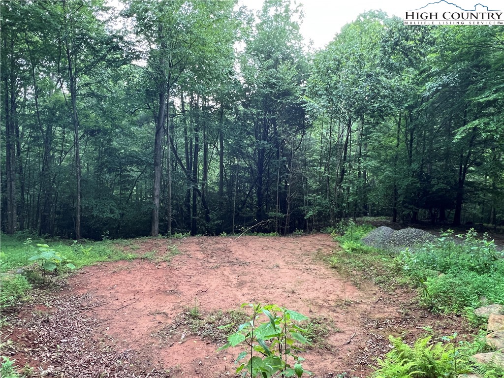 Staghorn Road Purlear, NC 28665 - Photo 17 of 50 a backyard of a house with lots of green space
