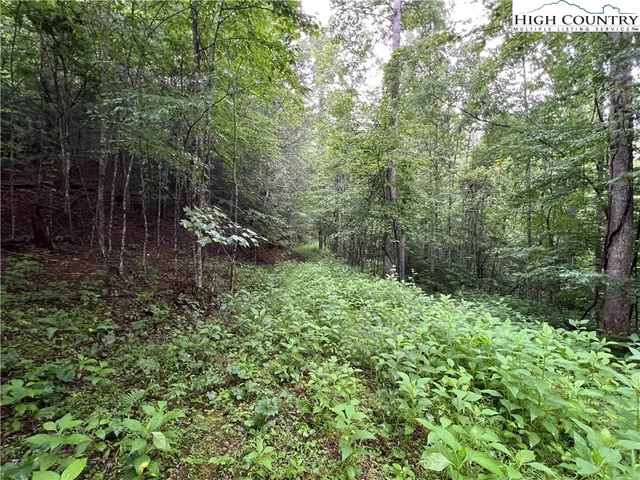$149,900 | Staghorn Road, Purlear, NC 28665