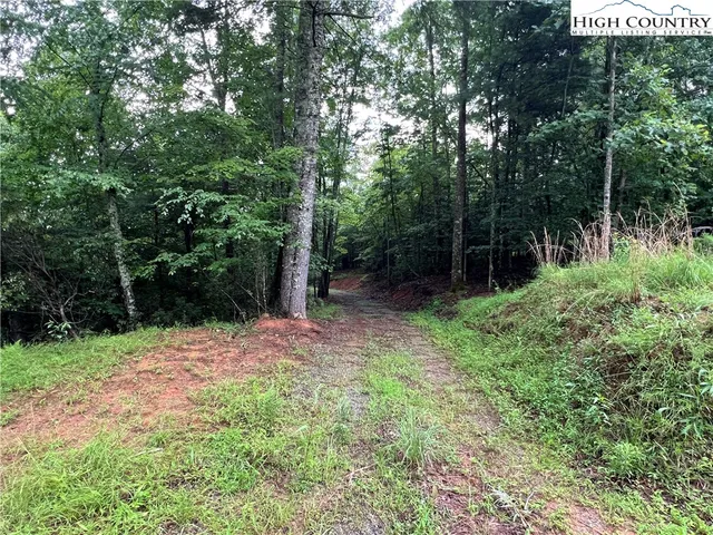 $149,900 | Staghorn Road, Purlear, NC 28665