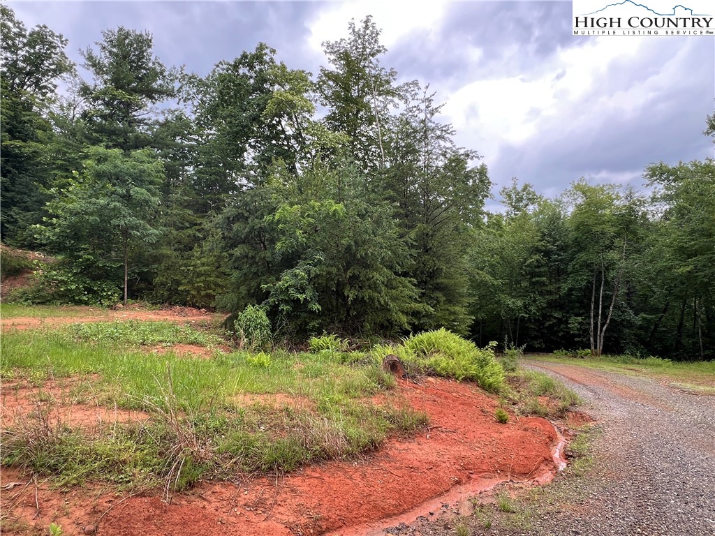 Staghorn Road Purlear, NC 28665 - Photo 25 of 50