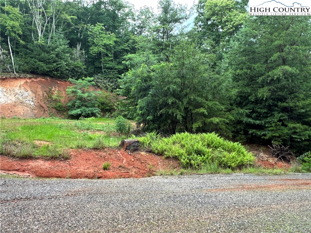 Staghorn Road Purlear, NC 28665 - Photo 26 of 50