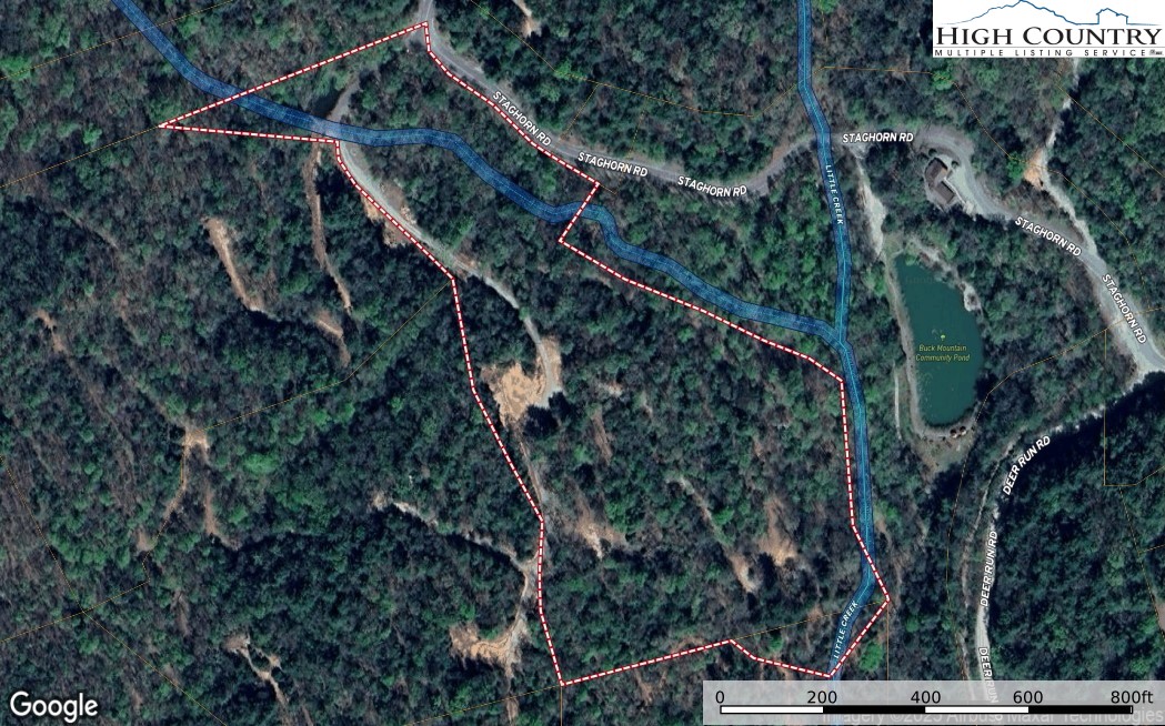 Staghorn Road Purlear, NC 28665 - Photo 4 of 50