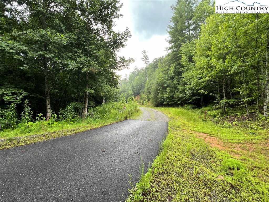 Staghorn Road Purlear, NC 28665 - Photo 4 of 50