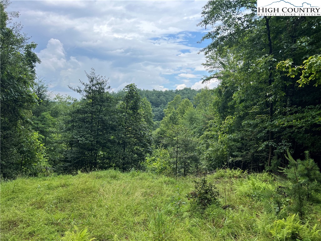 Staghorn Road Purlear, NC 28665 - Photo 6 of 50 a view of a yard